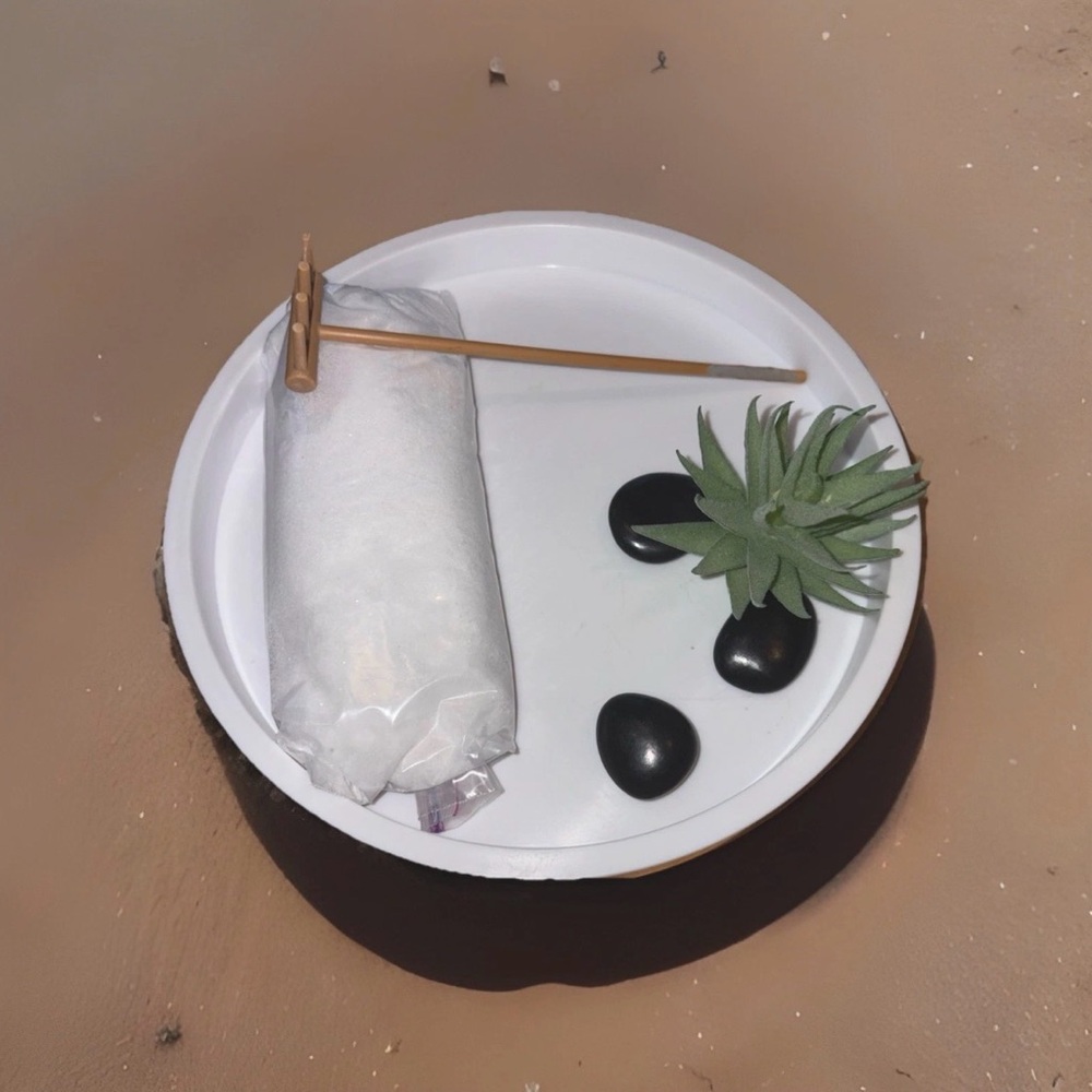 Zen Garden Tabletop Desktop 8 in Tray Sand Stones Plant & Rake Calming Fun Enjoy